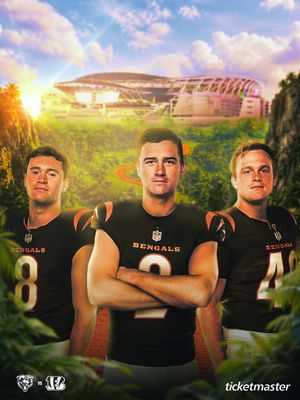 Image post by @bengals on Instagram