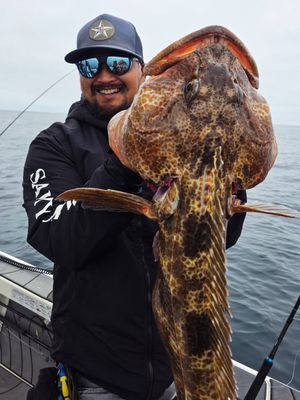 Image post by @oliverngy on Instagram