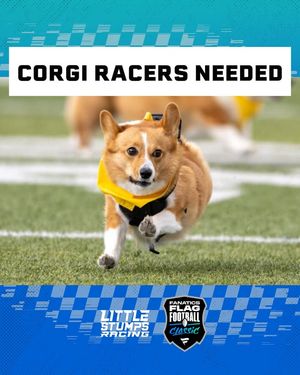 Image post by @littlestumpsracing1 on Facebook