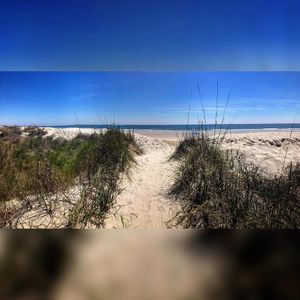 Image post by @ammedia_llc on Instagram