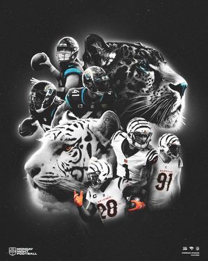 Image post by @jaguars on Instagram