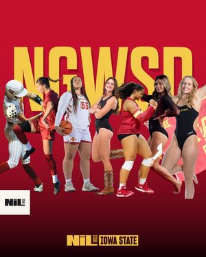 Image post by @iowastate.nil.store on Instagram