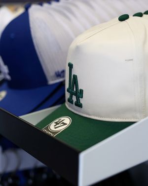 Image post by @thecactusleague on Instagram