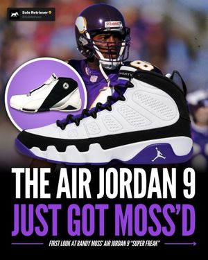 Image post by @soleretriever on Instagram