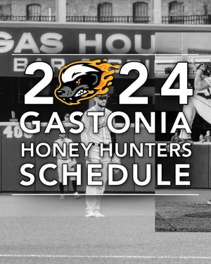 Image post by @gohoneyhunters on Instagram