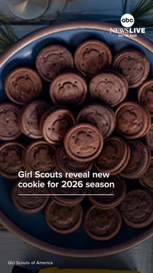 Video post by @abcnewslive on TikTok