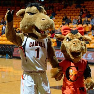 Image post by @campbelledu on Instagram