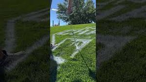 Video post by @uw_athletics on YouTube