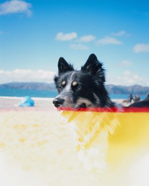 Image post by @connorpickett on Instagram