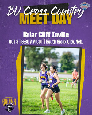 Image post by @bubruins on Instagram