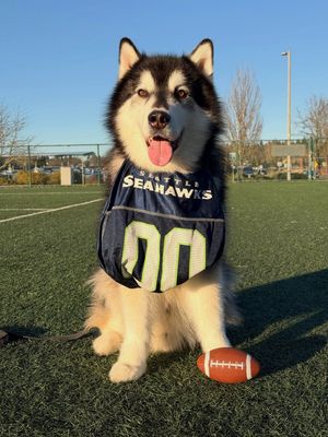 Image post by @dubs_uw on Instagram