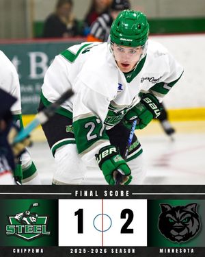 Image post by @chippewasteel on Instagram