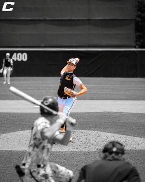 Image post by @thecanesbb on Instagram