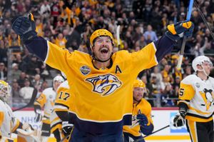 Image post by @PredsNHL on Twitter