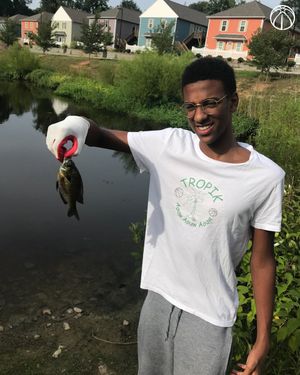 Image post by @WashWizards on Twitter