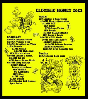 Image post by @electrichoneyexperience on Instagram
