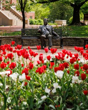 Image post by @iubloomington on Instagram