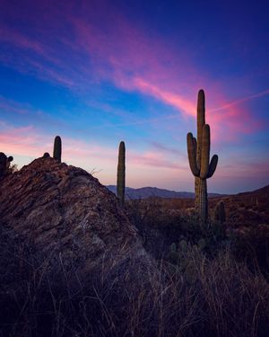 Image post by @nationalparkscollective on Instagram