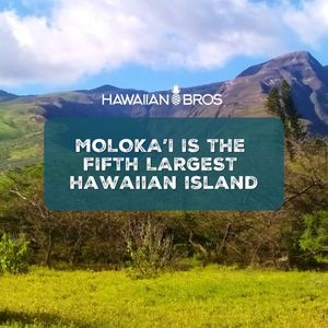 Image post by @hawaiianbros on Instagram