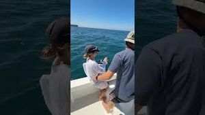 Video post by @maddie_mastro on YouTube