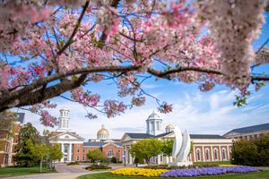 Image post by @CNUcaptains on Twitter