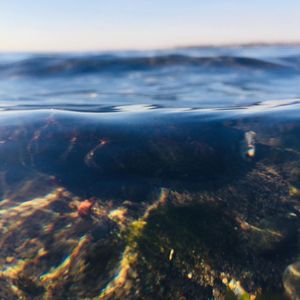 Image post by @michaelkiselka_photos on Instagram