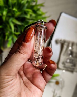 Image post by @leafyaffair on Instagram