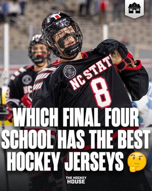 Image post by @hockeyhousepod on Instagram