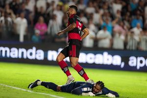 Video post by @flamengo on TikTok