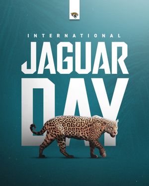 Image post by @jaguars on Instagram