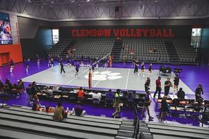 Image post by @elonvb on Instagram