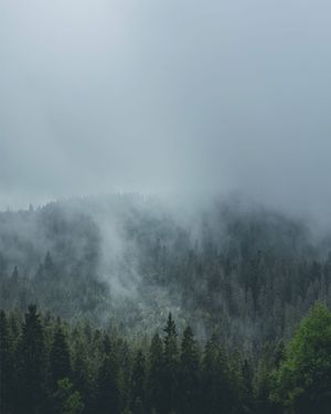 Image post by @kszczuka on Instagram