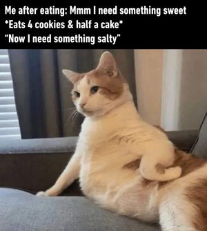 Image post by @9gag on Instagram