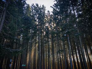 Image post by @allison_cole on Instagram
