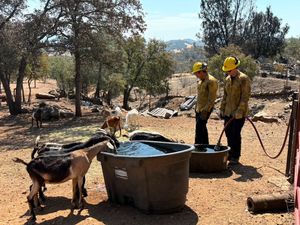 Image post by @calfire on Instagram