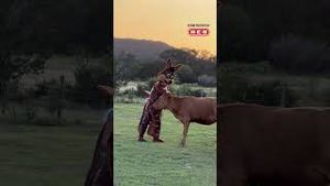 Video post by @spurs on YouTube