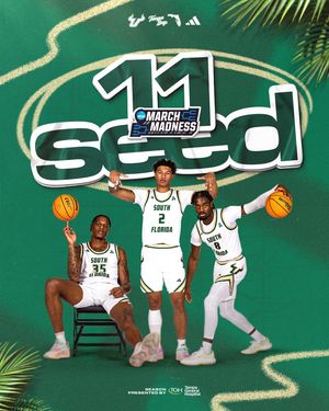 Image post by @usfmbb on Instagram