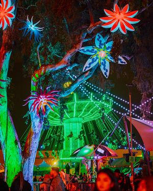 Image post by @beyondwland on Instagram