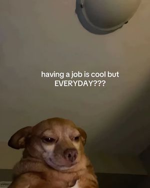 Image post by @quakerboy.us on Instagram