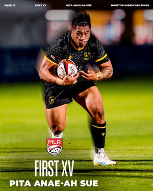 Image post by @houstonsabercats on Instagram