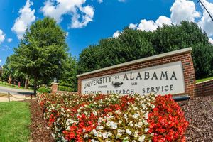 Image post by @ua_admissions on Instagram