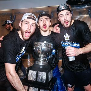 Image post by @torontomarlies on Instagram