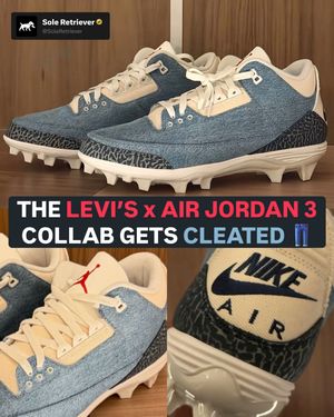 Image post by @soleretriever on Instagram