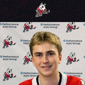 Image post by @ohlicedogs on Instagram