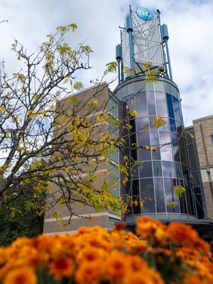 Image post by @niagaracollege on Instagram
