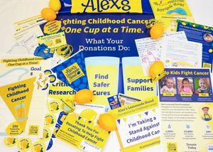 Image post by @alexslemonade on Instagram