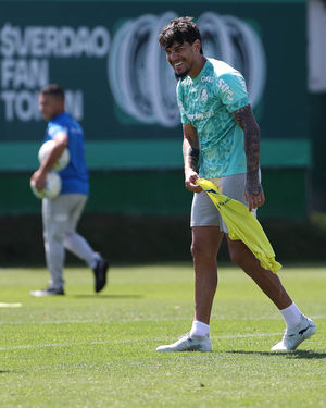 Image post by @palmeiras on Instagram