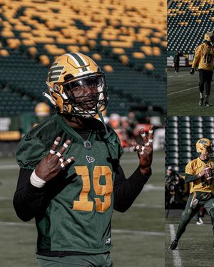 Image post by @goelks on Instagram