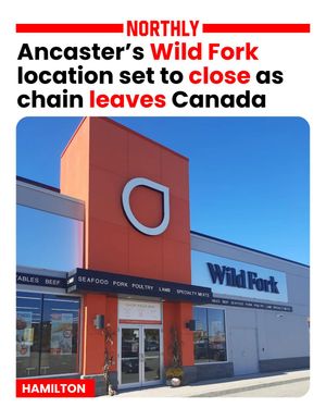 Image post by @northlyhamilton on Instagram