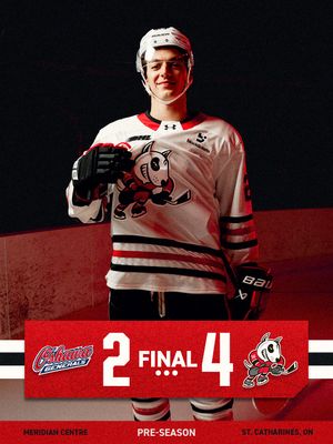Image post by @ohlicedogs on Instagram